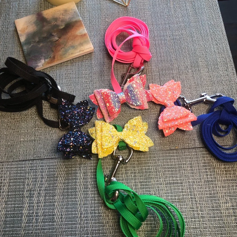 🐾 Dog Leash and Detachable Bow Set in Abstract 🐾
